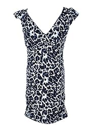 Animal Print Leopard Print Mesh  Dress
