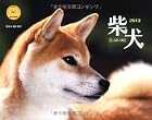 柴犬 (ヤマケイカレンダー2013 Yama-Kei Calendar 2013)