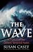 The Wave: In Pursuit of the Ocean's Greatest Furies