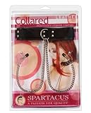Strict Leather Collar with Nipple Clamps