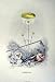 1981 Flowers Everlasting Plant Immortelle Grandville