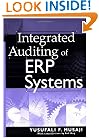 Integrated Auditing of ERP Systems