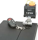 Battery Brain Gold (Type III)