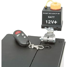 Battery Brain Gold (Type III)