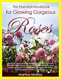 The Essential Handbook For Growing Gorgeous Roses