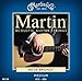 Martin M150 }[` AR[XeBbNM^[