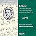 The Romantic Piano Concerto Vol.63