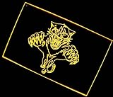 NHL - Florida Panthers Neon Light Sign