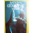The Sharks: National Geographic