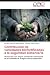 Contribución de variedades biofortificadas a la seguridad... at Amazon: 51y2R%2BnF6KL._SL75_