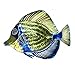 Next Innovations WA3DMANGELFISHBL/GR Angelfish Refraxions 3D Wall Art, Blue and Green
