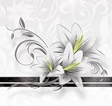 Trauerkarten (10 Sets) sehr elegante Klappkarten mit passenden Umschlägen, Silberband und Einlegeblätter, für Beerdigung, Kondolanz, Danksagung