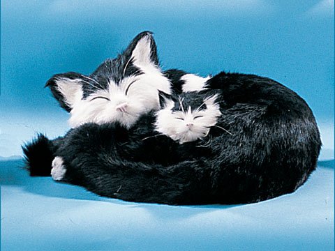 Cat Sleeping w/ Kitten Collectible Figurine Statue Decoration Model