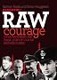 Raw Courage: The Extraordinary and Tragic Story of Four RAF Brothers in Arms