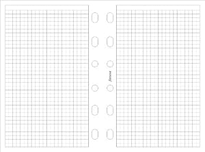 Filofax Pocket Karopapier 3mm, 100 Blatt: Amazon.de: Bürobedarf