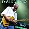 David Wilcox Picture 1