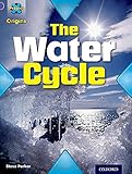 The water cycle
