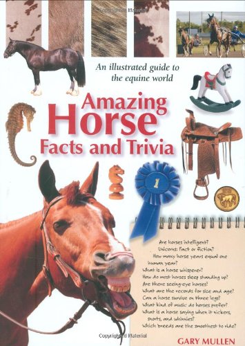 amazing horse facts and trivia amazing facts  trivia