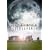 Stonehenge Rediscovered [DVD]