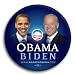 Obama / Biden Official Campaign Button / Pin