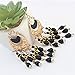 Voberry® Women's Bohemian Classical Fringed Long Section Of Big Beads Pendant Drop Tassels Hook Dangle Earrings (Black)