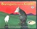 Borreguita and the Coyote (Reading Rainbow Books)