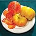 Organic Pineapple Tomato - 50 Seeds