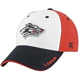 New Mexico Lobos Backhand Hat