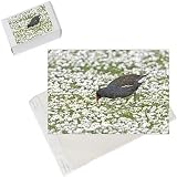Photo Jigsaw Puzzle of Moorhen - feeding amongst daisies from Ardea Wildlife Pets