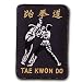 Tae Kwon Do Kick Patch