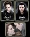 Lot of 3 Twilight Posters (Edward, Jacob, Edward & Bella) Movie Posters Prints - 24