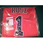 DERRICK ROSE SIGNED AUTOGRAPHED CHICAGO BULLS JERSEY JSA AUTHENTICATED