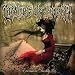 Evermore Darkly