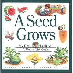 A Seed Grows : My First Look at a Plant's Life Cycle (My First Look at Nature)