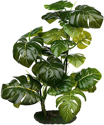 Petco Araceae Terrarium Plant Reptile Decor, Large, Green