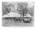 Historic Print (L): [Chautauqua grounds, Kirksville, Mo.]