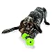 Planet Dog Orbee-Tuff Bone Green Dog Chew Toy, Large