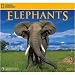 Elephants 2009 National Geographic Wall Calendar