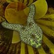 AKT Tyranny on the Nile Chartreuse Neckpiece (Pyramid of Giza)