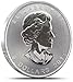 2013 1 Oz Canadian Silver Maple Coin