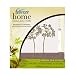 Febreze Home Collections Green Tea Citrus Flameless Luminary Starter Kit, 1 Kit Box