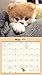 Boo Mini Wall Calendar (2016)