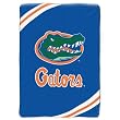 Florida Gators NCAA Royal Plush Raschel Blanket (Force Series) (60x80")"