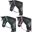 Nylon Halter with Lead Rope, Three Colors