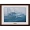 Bow Riders Framed Print By Randall Scott