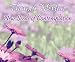 New Seeds of Contemplation