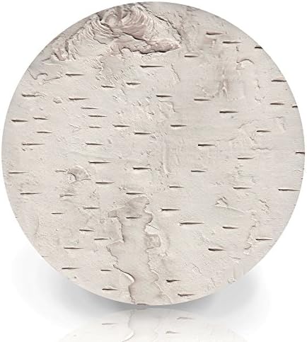 Birch Bark Absorbent Drink Coaster set - Handmade by McCarter Coasters - 4.38 inch (4pc)