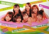 恵比寿マスカッツ×YCコラボクリアファイル(限定非売品)
