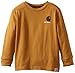 Carhartt Little Boys' Logo Tee