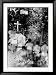A Catholic Priest Celebrates Mass at the Open Air Chapel of Lourdes Framed Photographic Poster Print, 33x45